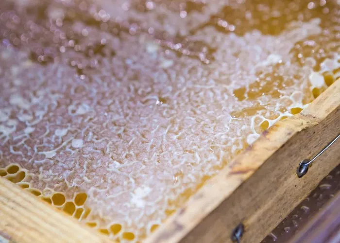 Tourist Boutique Argostoli (Kefalonia)