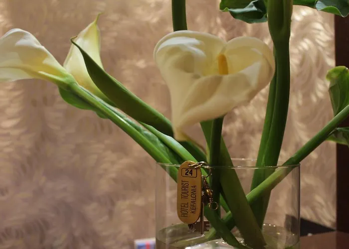 Tourist Boutique Hotel 3*